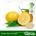 GMP factory supply lemon extract powder